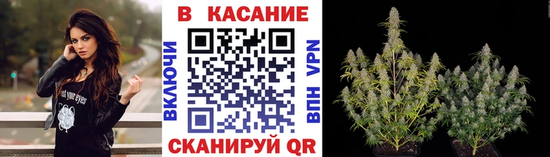 Где купить наркоту Михайловск Бошки Шишки АМФЕТАМИН ГАШИШ Меф мяу мяу
