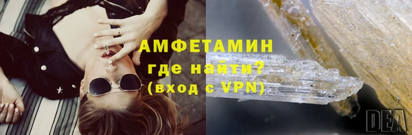 мет Алексин