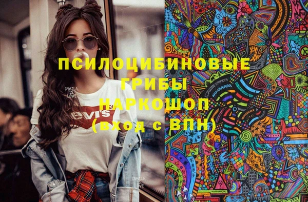 хмурый Алзамай