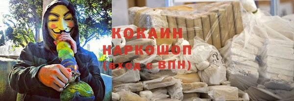 хмурый Алзамай