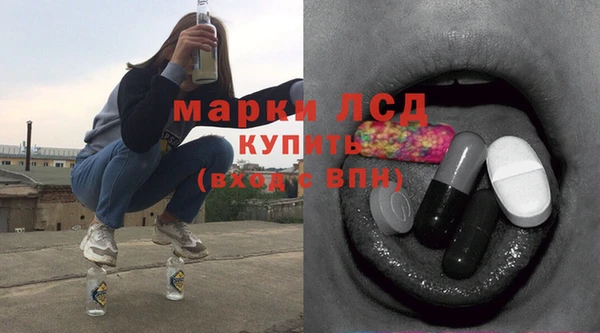 хмурый Алзамай